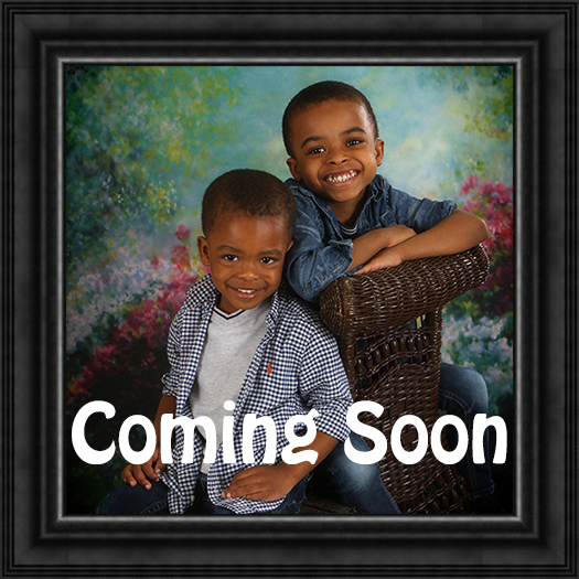 2026 SPRING - PRIMROSE OF CHANTILLY