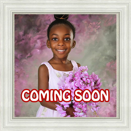 2026 SPRING - WINWOOD GAINESVILLE HOLLY KNOLL