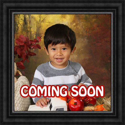 2026 Fall - The Lakes Montessori School